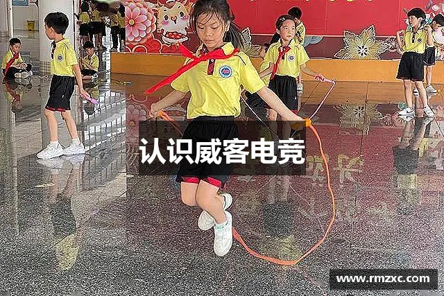 认识威客电竞